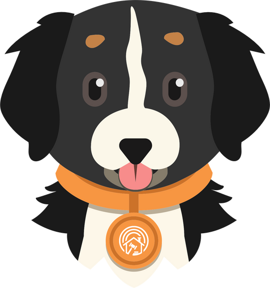 Bernese Mountain and Newfoundland Mix Dog Blue Unisex button shirt