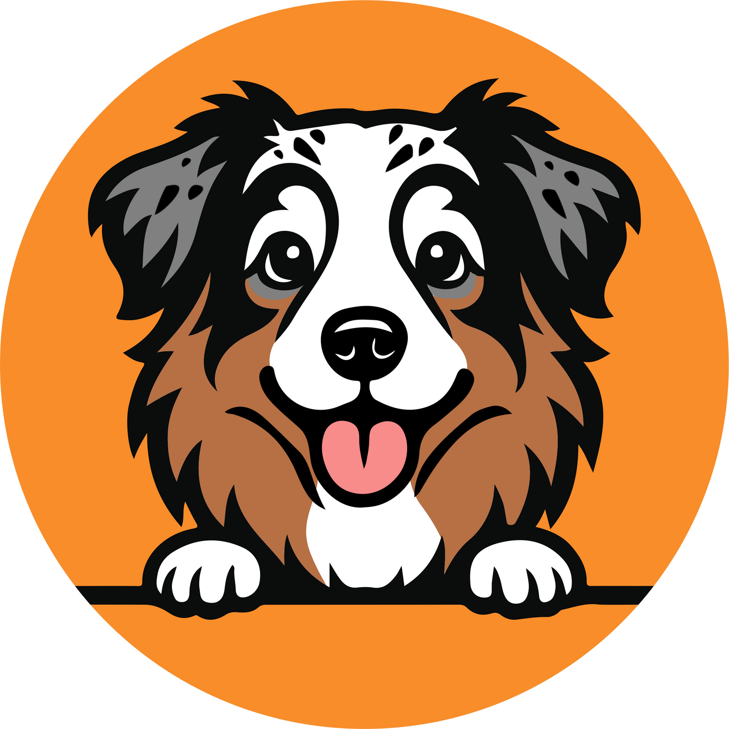 Australian Shepherd Dog Clothing & Products