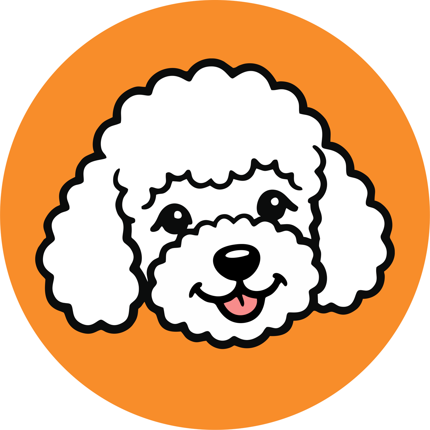 Poodle Clothing and Products