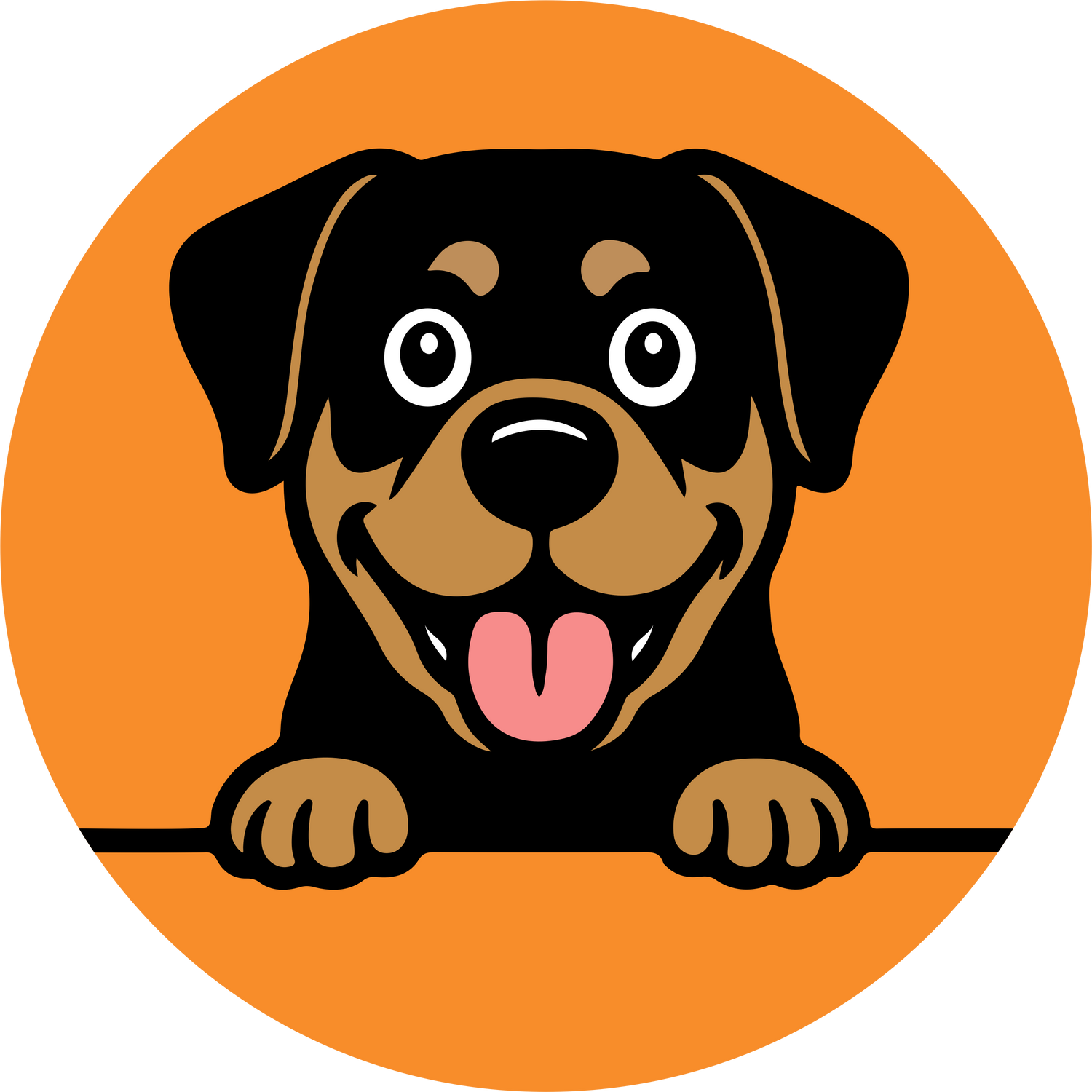 Rottweiler Clothing & Product