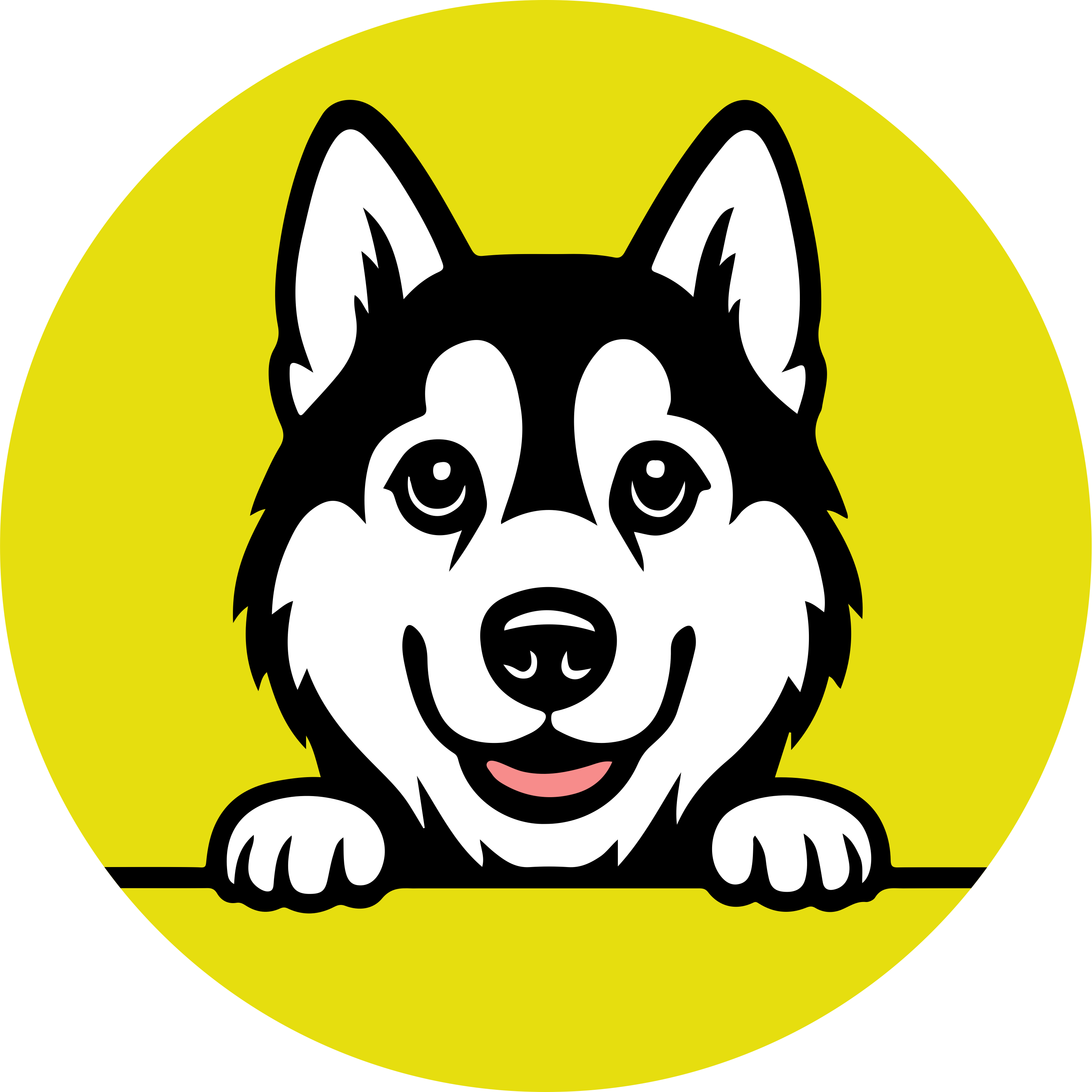 Siberian Husky Clothing & Products – Sunrise Estate Services KC and ...