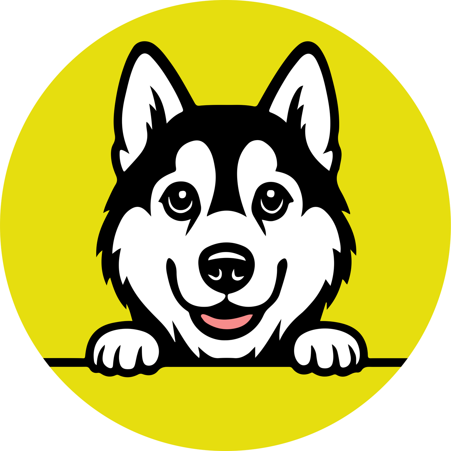 Siberian Husky Clothing & Products