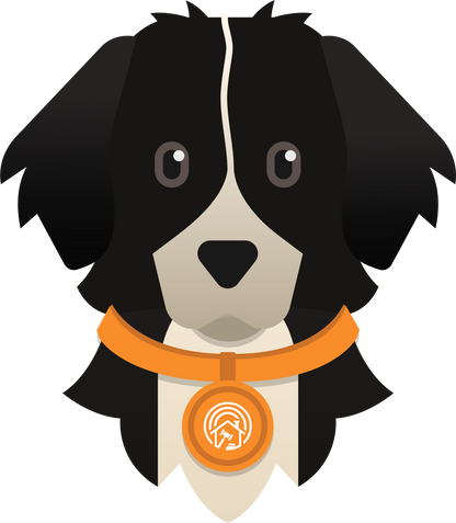 Finnegan Unisex button shirt