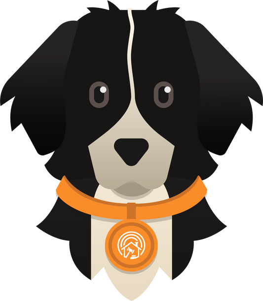 Finnegan Bernese Mountain Dog and Newfoundland mixes Men’s slides