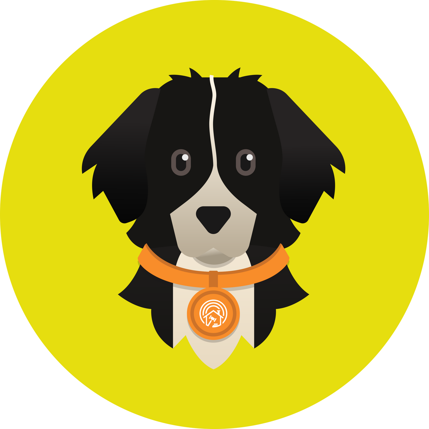 Finnegan Women’s high top canvas shoes