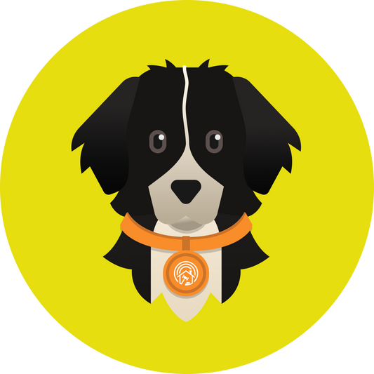 Finnegan Women’s high top canvas shoes