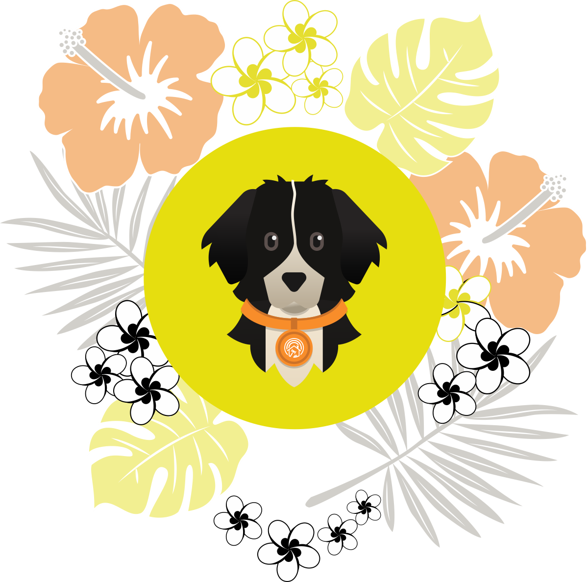 Finnegan Hawaiian Women’s high top canvas shoes