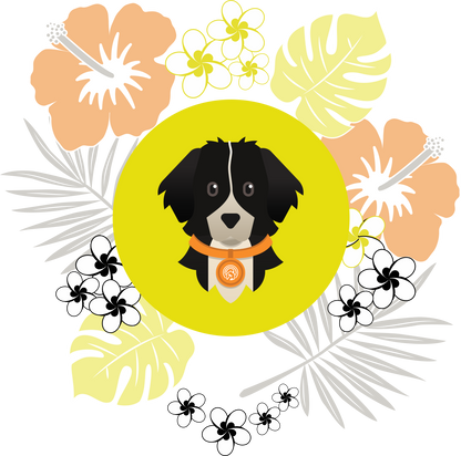 Finnegan Hawaiian Women’s high top canvas shoes