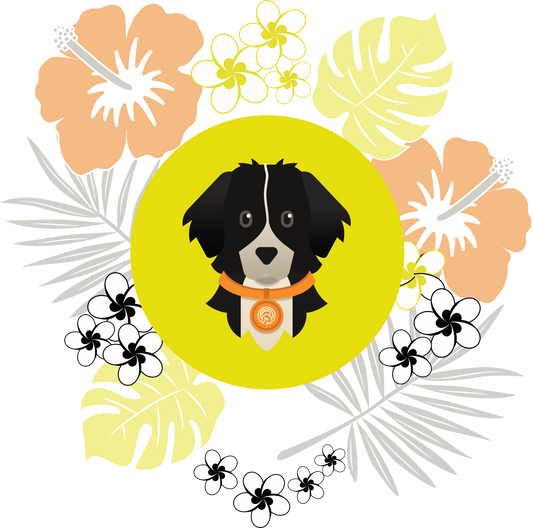 Finnegan Hawaiian Women’s high top canvas shoes