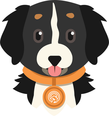 KC Bernese Mountain Dog and Newfoundland mixes Women's slides